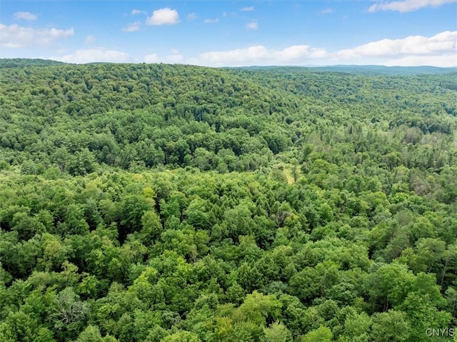 9255 Brown Rd, Brookfield, NY 13485