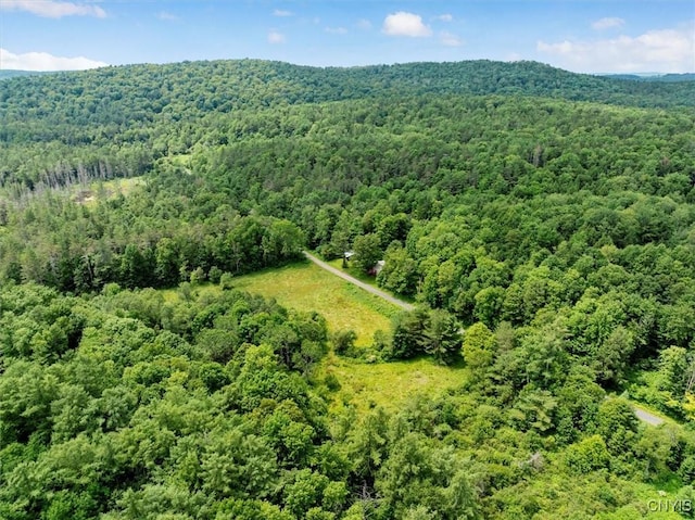 9255 Brown Rd, Brookfield, NY 13485