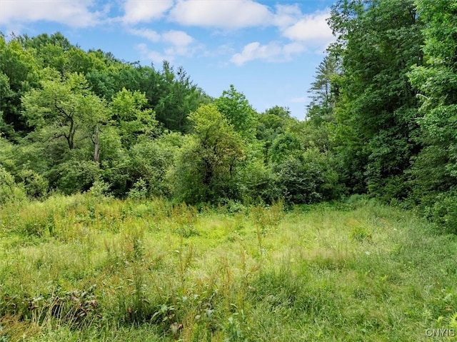 9255 Brown Rd, Brookfield, NY 13485