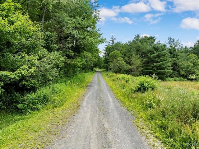 9255 Brown Rd, Brookfield, NY 13485