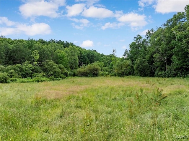 9255 Brown Rd, Brookfield, NY 13485