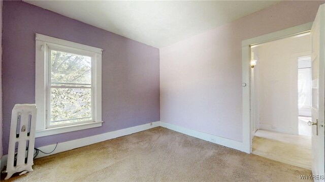 310 Washington Hwy, Amherst, NY 14226 - photo 29