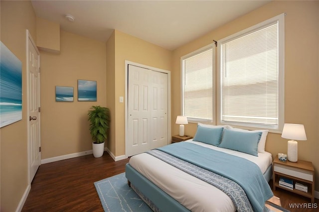 54 Tuxedo Pl, Buffalo, NY 14207 - bedroom featuring dark wood-style flooring and a closet
