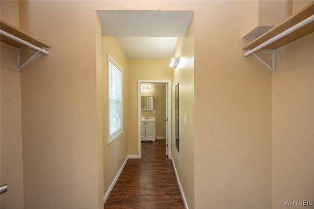 54 Tuxedo Pl, Buffalo, NY 14207 - walk in closet featuring dark wood finished floors