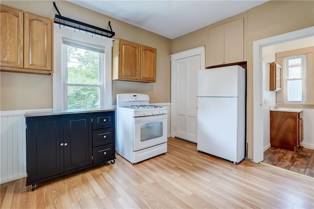 26 Fountain St, Rochester, NY 14620 - kitchen featuring white appliances, light wood-style flooring, plenty of natural light, and light countertops