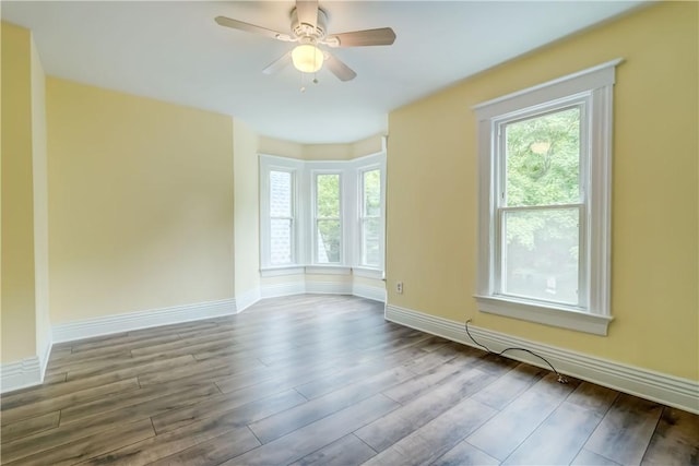 26 Fountain St, Rochester, NY 14620 - unfurnished room featuring plenty of natural light, wood finished floors, and a ceiling fan