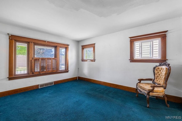 106 Lasalle Ave, Buffalo, NY 14214 - photo 7