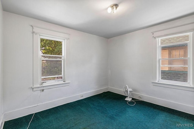 106 Lasalle Ave, Buffalo, NY 14214 - photo 18