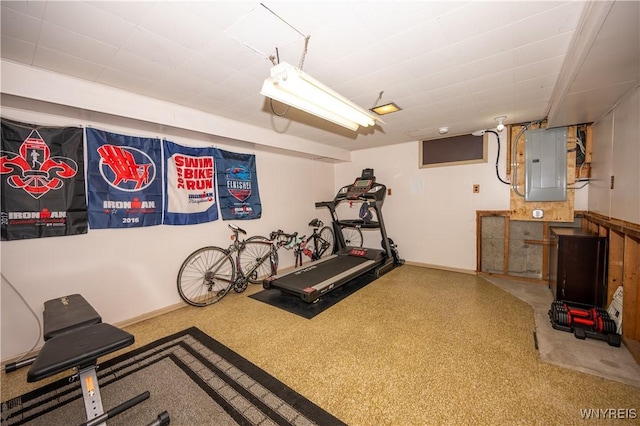 150 Collins Ave, West Seneca, NY 14224 - exercise area with electric panel and baseboards