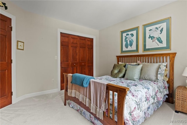 314 Landings Dr, Amherst, NY 14228 - photo 40