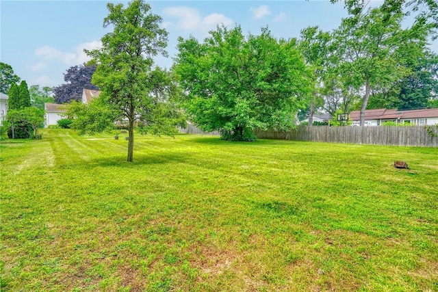 2862 Culver Rd, Irondequoit, NY 14622 - view of yard