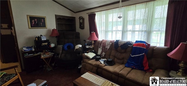 1710 Haskell Pkwy, Portville, NY 14760 - living room featuring healthy amount of natural light, dark colored carpet, lofted ceiling, and crown molding