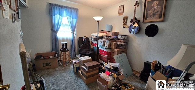 1710 Haskell Pkwy, Portville, NY 14760 - miscellaneous room featuring carpet floors