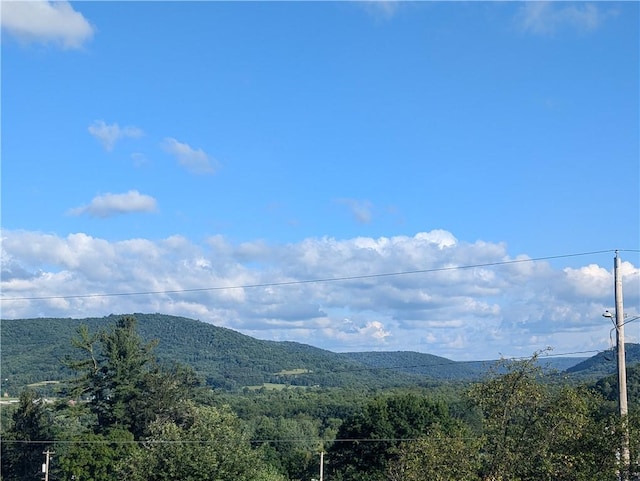 310 E Green St, Smethport Boro, PA 16749 - view of mountain backdrop with a forest