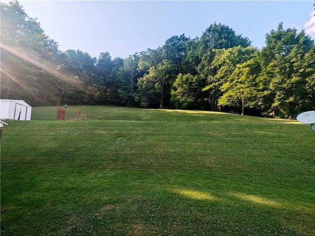 310 E Green St, Smethport Boro, PA 16749 - view of grassy yard with a storage unit