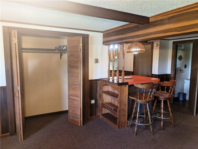 310 E Green St, Smethport Boro, PA 16749 - indoor dry bar featuring carpet floors, beam ceiling, a textured ceiling, a wainscoted wall, and wooden walls