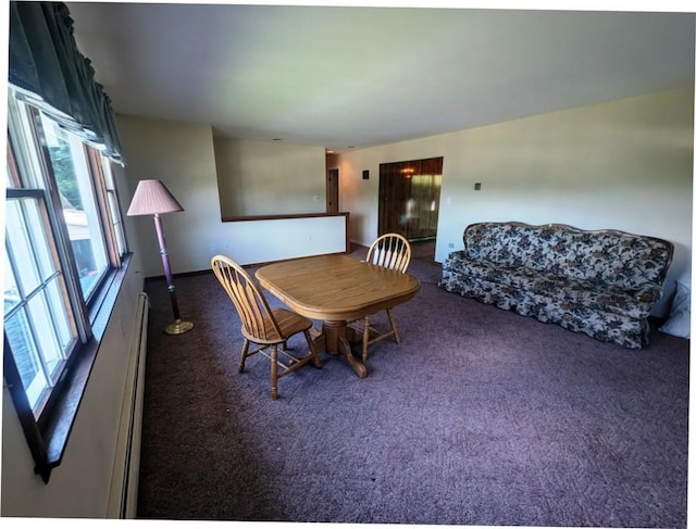 310 E Green St, Smethport Boro, PA 16749 - dining space with carpet floors and a baseboard heating unit