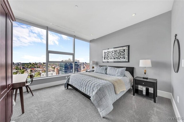 200 Delaware Ave Unit 1501, Buffalo, NY 14202 - photo 25