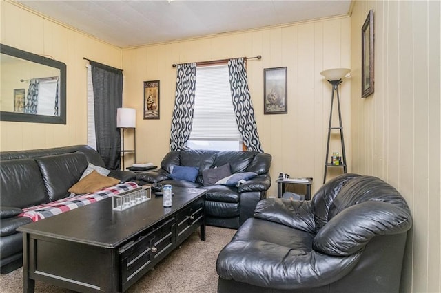 430 Ridgeway Ave, Rochester, NY 14615 - living area featuring carpet floors and crown molding