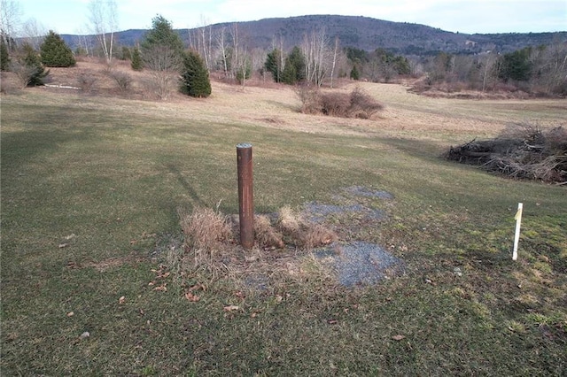 0 State Highway 23, Oneonta, NY 13861 - photo 9
