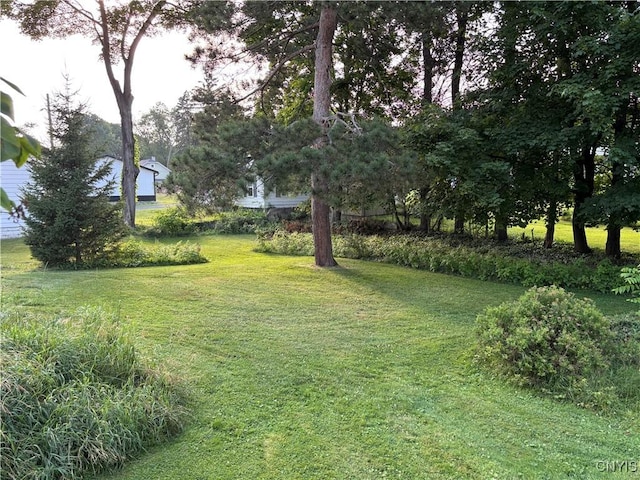 39 Standart Ave, Auburn, NY 13021 - view of grassy yard