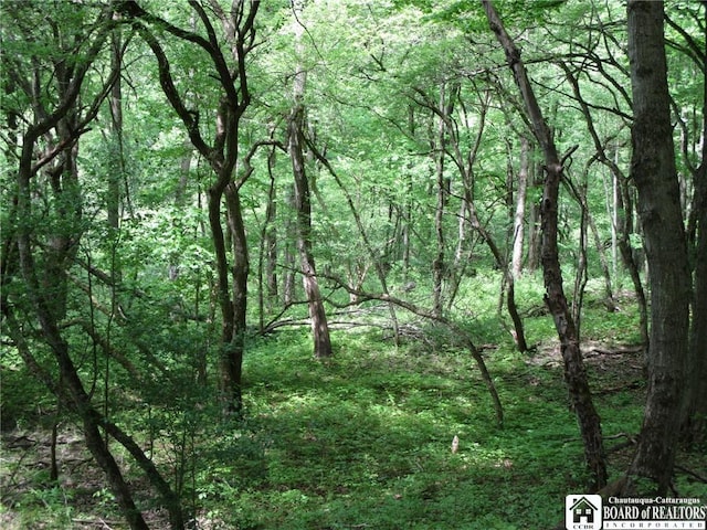 Yankee Rd, Ischua, NY 14743 - photo 16