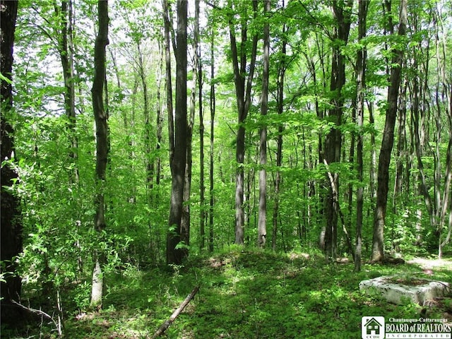 Yankee Rd, Ischua, NY 14743 - photo 17