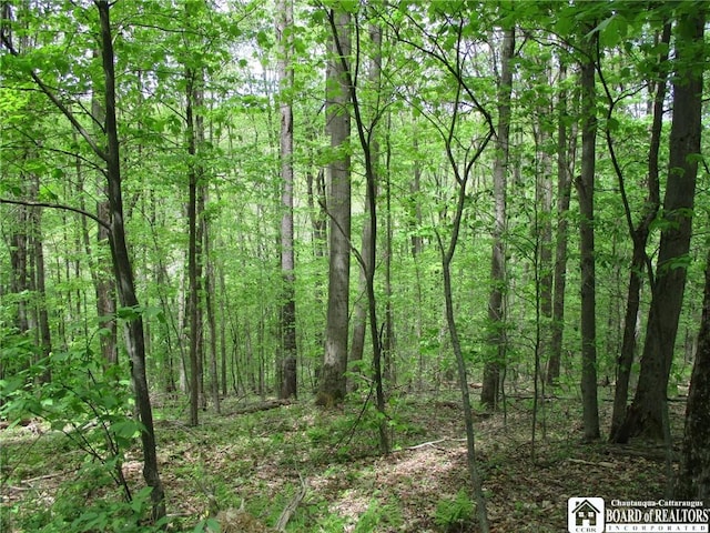 Yankee Rd, Ischua, NY 14743 - photo 18