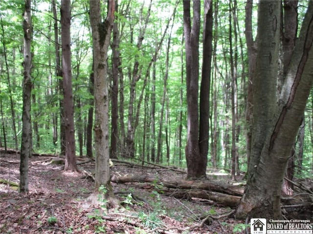 Yankee Rd, Ischua, NY 14743 - photo 20