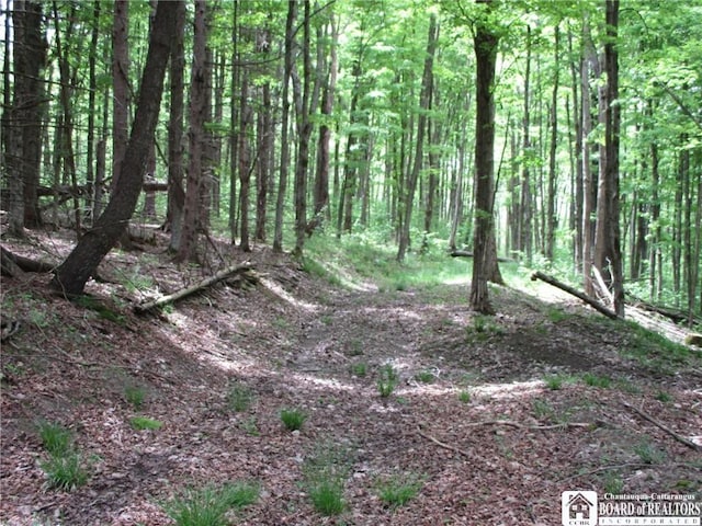 Yankee Rd, Ischua, NY 14743 - photo 21