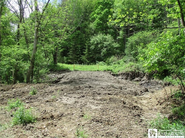 Yankee Rd, Ischua, NY 14743 - photo 22