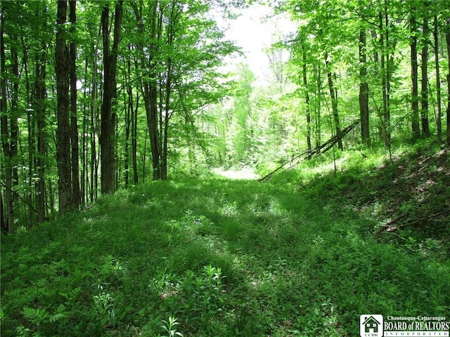 Yankee Rd, Ischua, NY 14743 - photo 23