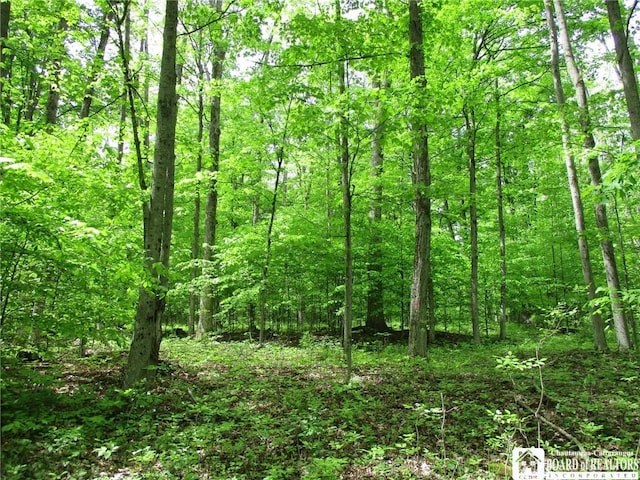 Yankee Rd, Ischua, NY 14743 - photo 24