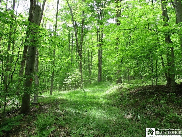 Yankee Rd, Ischua, NY 14743 - photo 25