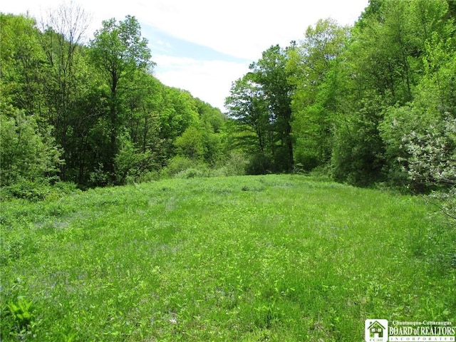 Yankee Rd, Ischua, NY 14743 - photo 26