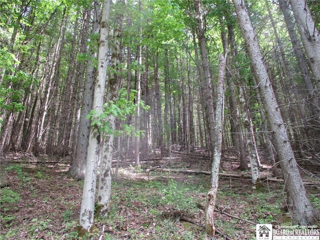 Yankee Rd, Ischua, NY 14743 - photo 28