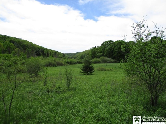 Yankee Rd, Ischua, NY 14743 - photo 1