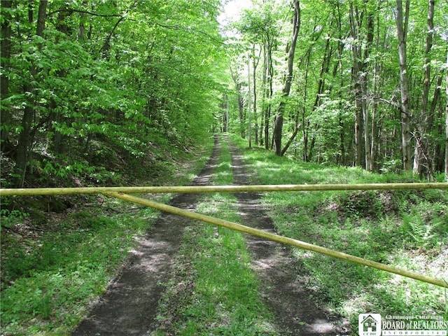 Yankee Rd, Ischua, NY 14743 - photo 11