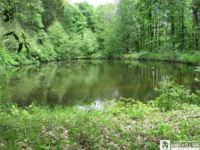 Yankee Rd, Ischua, NY 14743 - photo 12