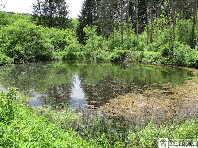 Yankee Rd, Ischua, NY 14743 - photo 13