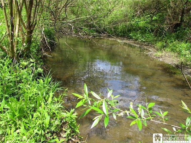 Yankee Rd, Ischua, NY 14743 - photo 14