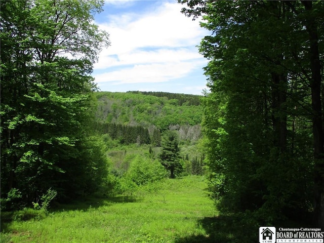 Yankee Rd, Ischua, NY 14743 - photo 29