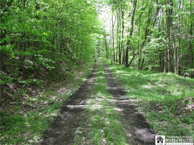 Yankee Rd, Ischua, NY 14743 - photo 30