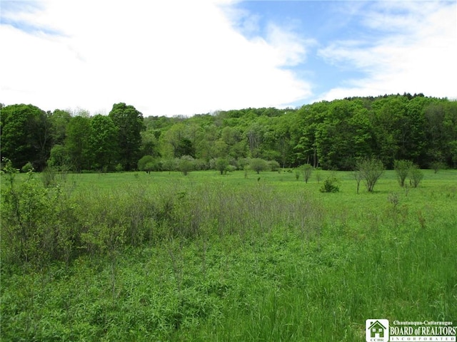 Yankee Rd, Ischua, NY 14743 - photo 31