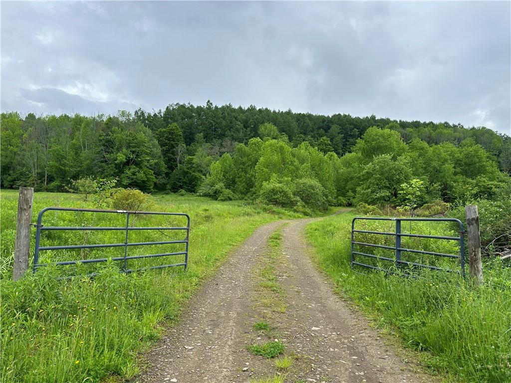 7739 Monihan Rd, Wirt, NY 14739 - photo 1
