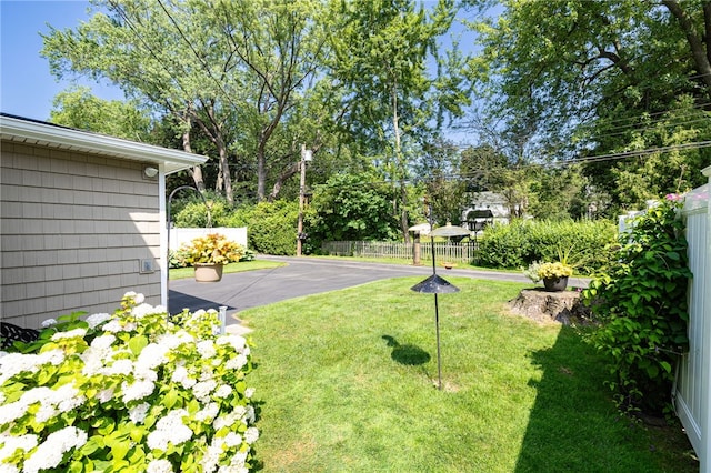 36 Dover Park, Brighton, NY 14610 - view of yard with view of wooded area and a patio area