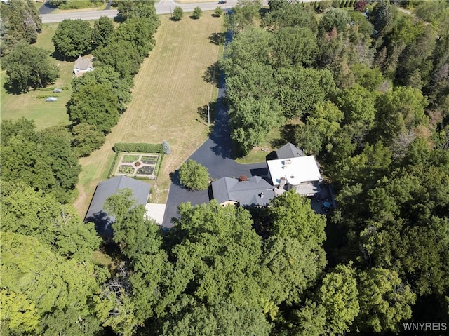 1650 Ridge Rd, Lewiston, NY 14092 - photo 32