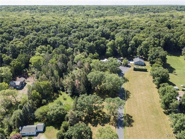 1650 Ridge Rd, Lewiston, NY 14092 - photo 34