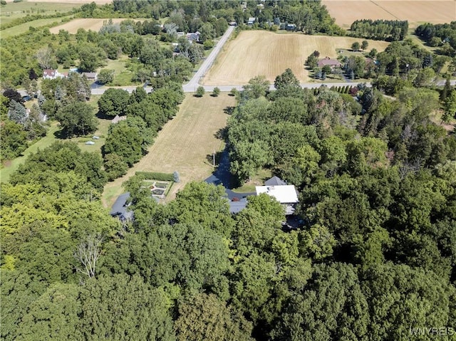1650 Ridge Rd, Lewiston, NY 14092 - photo 38