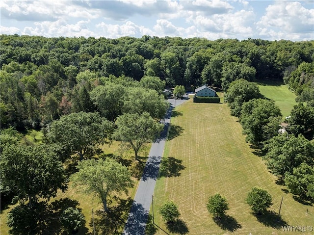 1650 Ridge Rd, Lewiston, NY 14092 - photo 49